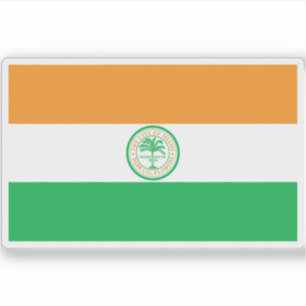 Flag of Miami, Florida, USA