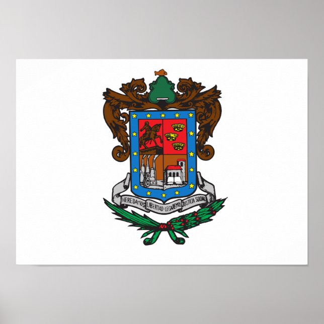 Flag of Michoacan Poster (Front)
