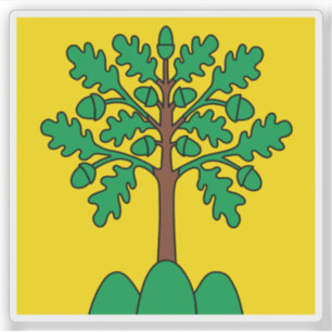 Flag of Monthey, Switzerland