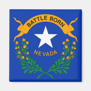 Flag of Nevada (detail) Magnet