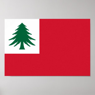 Flag of New England (pine only) - unofficial Poster