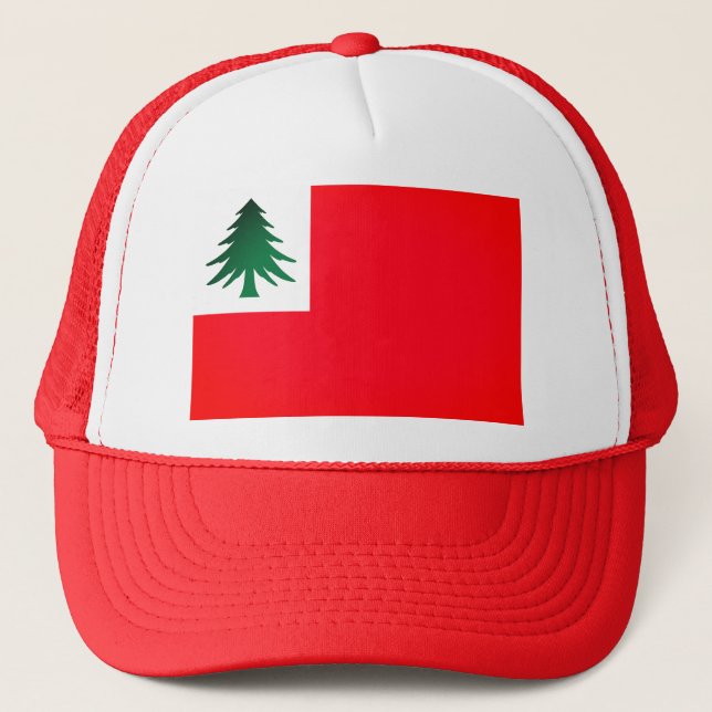 Flag of New England (pine only) - unofficial Trucker Hat (Front)