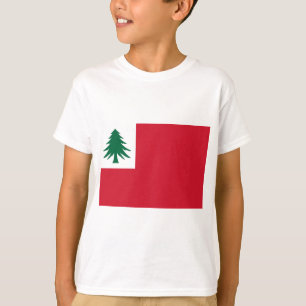 Flag of New England T-Shirt