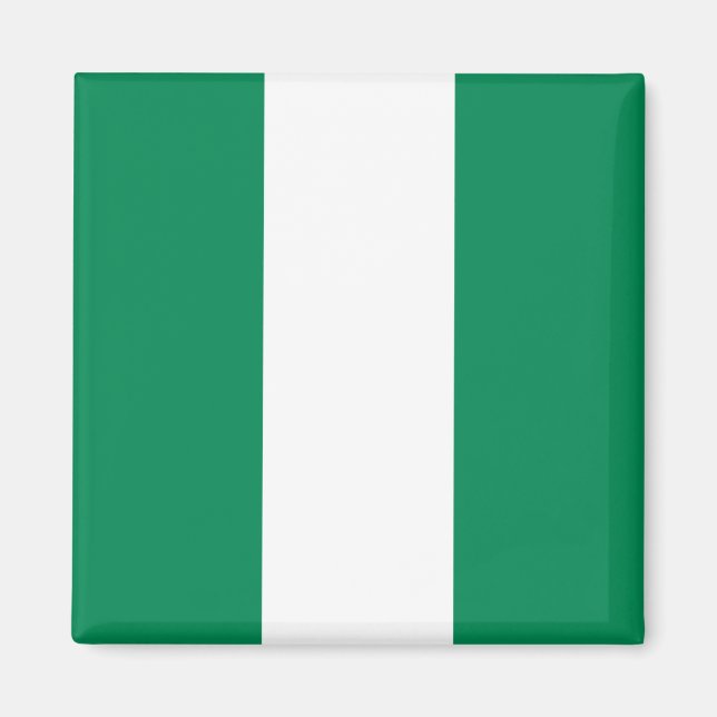 Flag of Nigeria Magnet (Front)