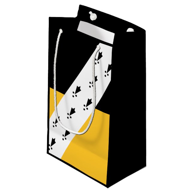 Flag of Norfolk Small Gift Bag (Front Angled)
