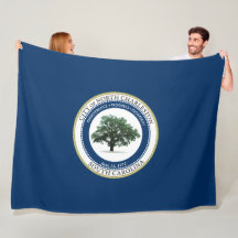 Flag of North Charleston (South Carolina)