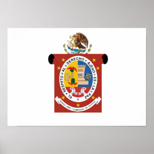 Flag of Oaxaca Poster