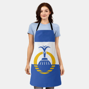Flag of Orlando, Florida Apron