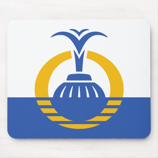  Flag of Orlando, Florida. Mouse Mat (Front)