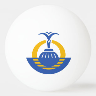 Flag of Orlando, Florida. Ping Pong Ball