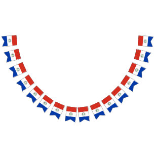 Flag of Paraguay