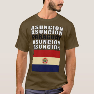 Flag of Paraguay T-Shirt