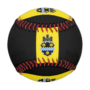 Flag of Pittsburgh, Pennsylvania Baseball