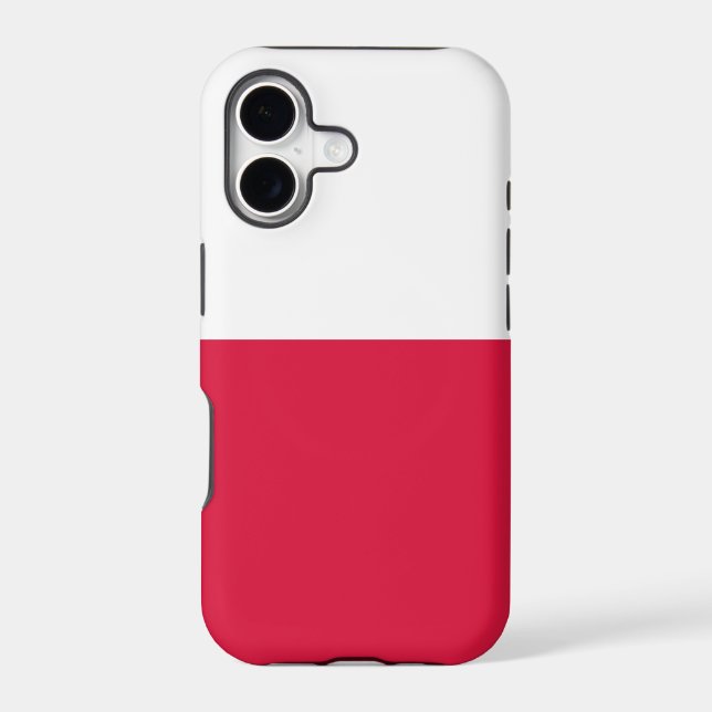Flag of Poland (Back)