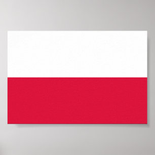 Flag of Poland Poster