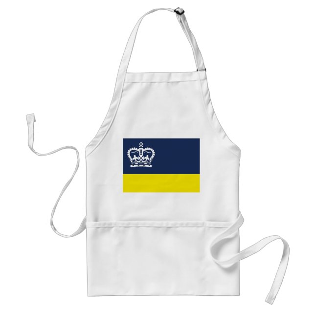 Flag of Regina, Saskatchewan Adult Apron (Front)