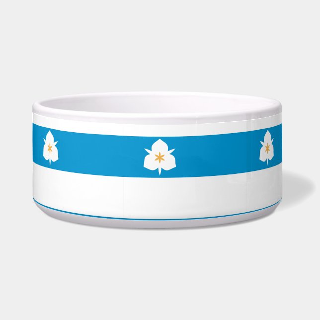 Flag of Salt Lake City, Utah (Front)