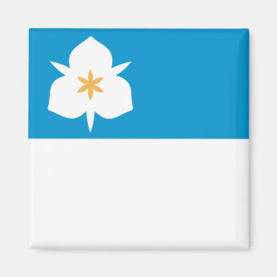 Flag of Salt Lake City (Utah) Magnet