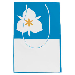 Flag of Salt Lake City, Utah Medium Gift Bag