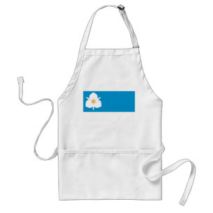 Flag of Salt Lake City, Utah Standard Apron