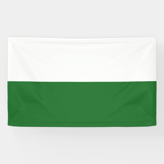 Flag of Saxony (German State) Banner (Horizontal)