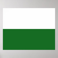 Flag of Saxony (German State)