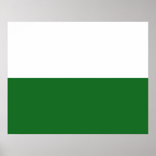 Flag of Saxony (German State) Poster