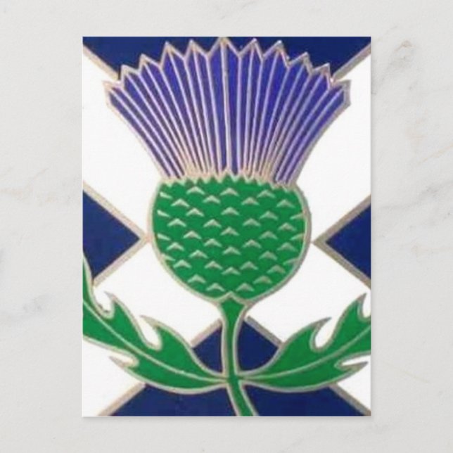 Flag of Scotland and Thistle Postcard (Front)