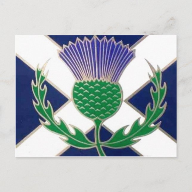 Flag of Scotland and Thistle Postcard (Front)