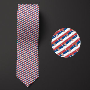 Flag of Serbia Pattern Tie