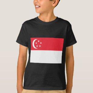 Flag of Singapore T-Shirt