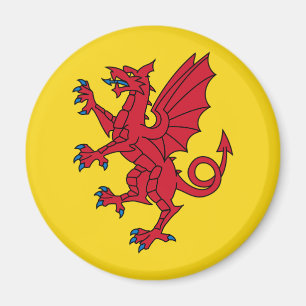 Flag of Somerset Magnet