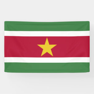Flag of Suriname Banner