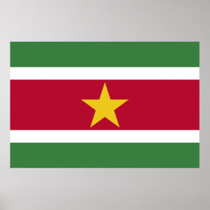 Flag of Suriname Poster