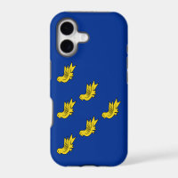 Flag of Sussex 