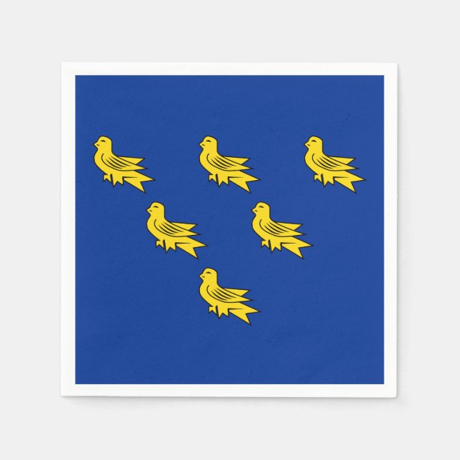 Flag of Sussex Paper Napkins (Front)