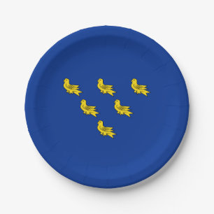 Flag of Sussex Paper Plates