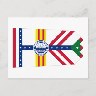 Flag of Tampa, Florida Postcard