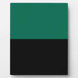 Flag of Texel Plaque