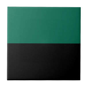 Flag of Texel Tile
