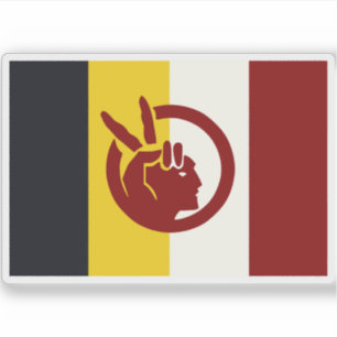 Flag of the American Indian Movement, USA