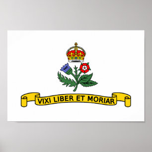 Flag of the city of Annapolis  Poster