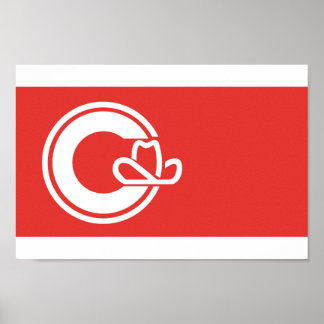 Flag of the city of Calgary Poster