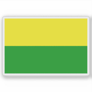Flag of the city of Sarteneja, Belise