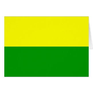 Flag of The Hague