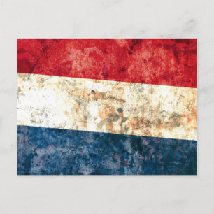 Flag of the Netherlands Postcard