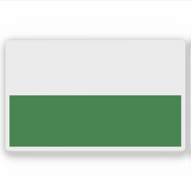 Flag of the Saxony state, Germany (Front)