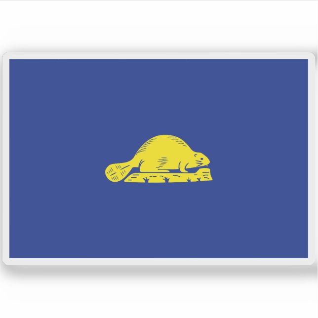 Flag of the state of Oregon, USA (Front)