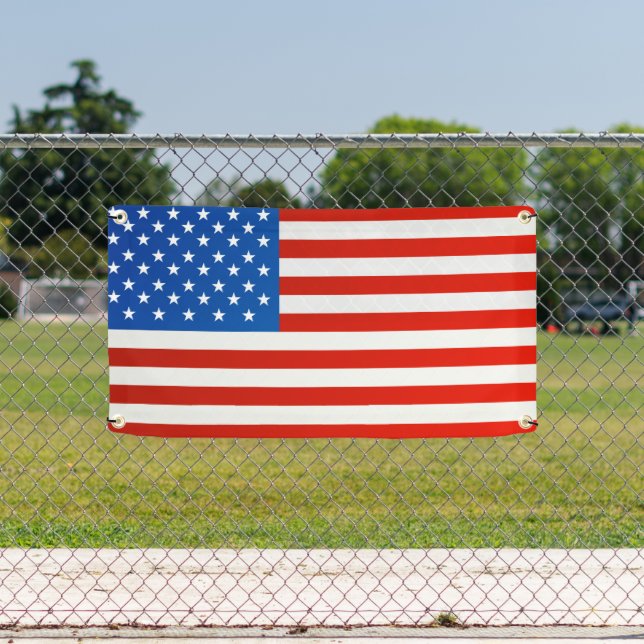 Flag of the United States Banner (Insitu)