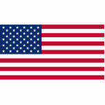 Flag of The United States Photo Sculpture Decoration<br><div class="desc">I have ordered these,  picture it shiny and thick with a little white tab and a hole in it for things that hang.Choose from an ornament,  magnet,  pin,  photo sculpture and key ring.</div>